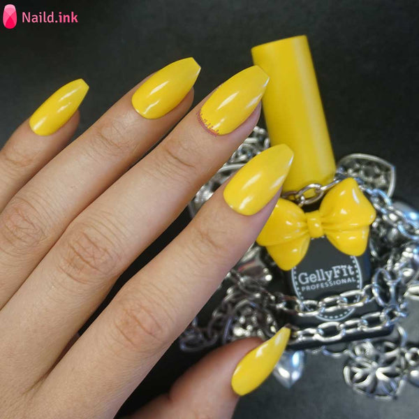 GellyFit - CN41
