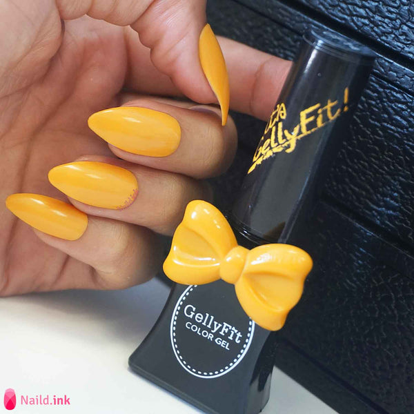 GellyFit - GF14