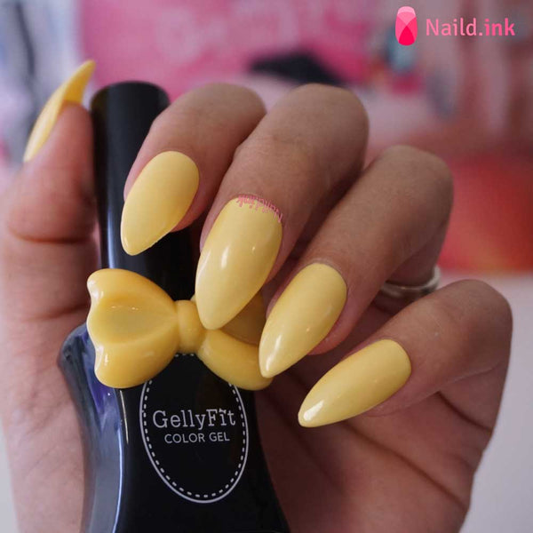 GellyFit - SS211