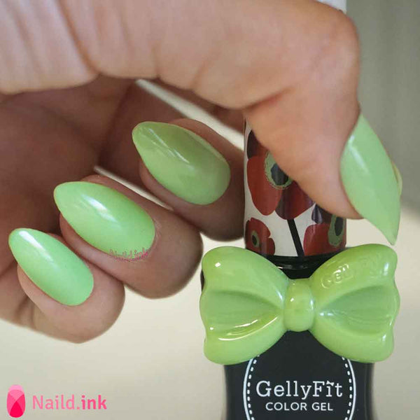 GellyFit - SS264