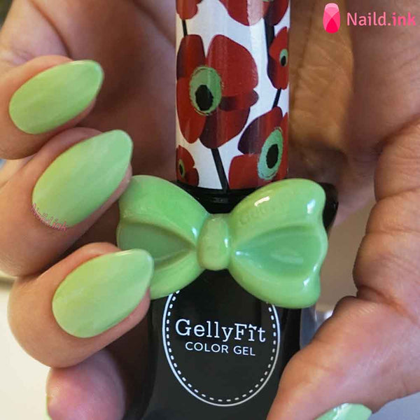 GellyFit - SS264