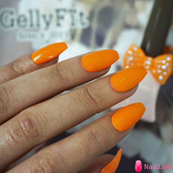 GellyFit - SW04